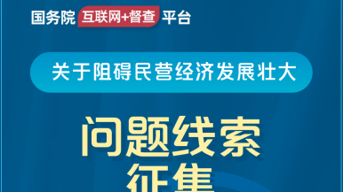 17c啊啊啊国务院“互联网+督查”平台公开征集阻碍民营经济发展壮大问题线索